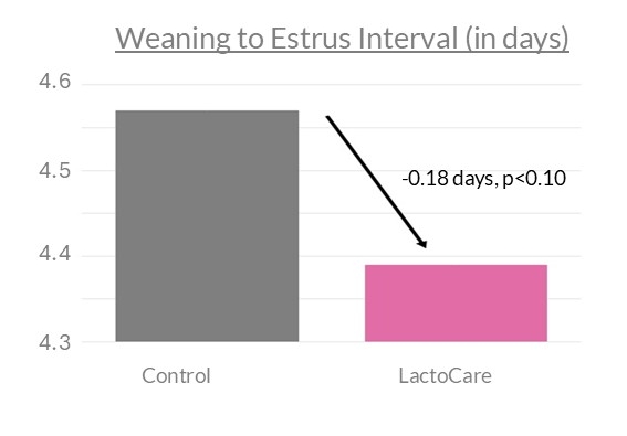 Field experience on LactoCare